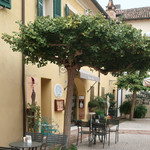 Caffè Corte Cavour - 　木陰のカフェ・テーブル