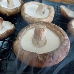 野原川観光センター - ぷりっぷりで肉厚のしいたけ