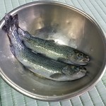 野原川観光センター - 生きたままでピチピチしている鱒