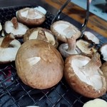 野原川観光センター - さすが「森のダイヤ」と呼ばれているだけのことはありますね