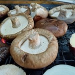 肉厚感がハンパないっす♪