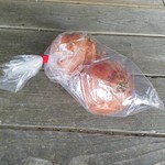 野原川観光センター - すごく大きな玉ねぎで買っていきました