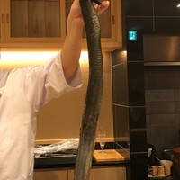 はらまさ - 天然鰻  約800g  4日寝かせ