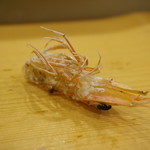 寿司割烹 もり - アカサエビの頭