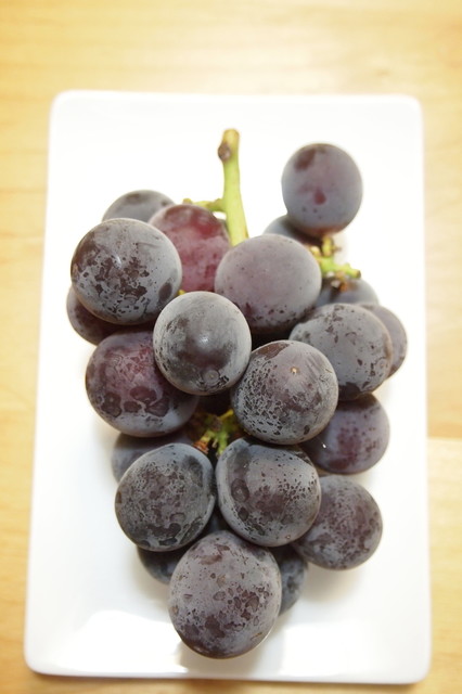 Sagwat Farmers photo 3