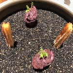 ル スプートニク - 2018/11