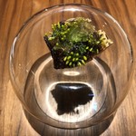 ル スプートニク - 2018/11