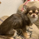 森谷珈琲工房 - 