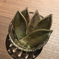 熟成焼肉 マルニク - 