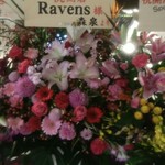 RAVENS - 