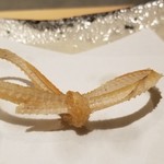 にい留 - (21)真穴子(長崎県対馬産)の骨
      出禁のラッコ様のリクエストにお応えした一品。
      新留大将のツンデレにラッコ様もKO。(笑)
      カリッとした大人の骨煎餅、ウマい！
      油を痛めるので普段は封印とのこと。