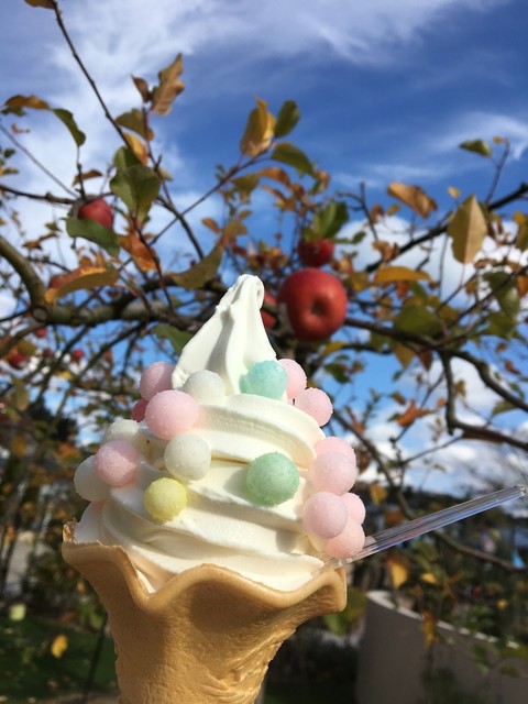 アップルガーデンカフェ - 小野新町（カフェ）の写真