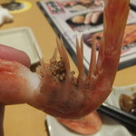 魚や一丁 - 有卵エビ(2018.10.12)