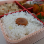Kiyouken - 白飯と小田原産梅干