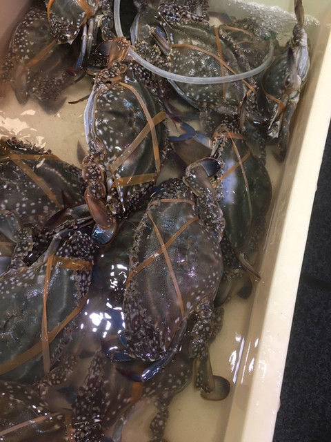 いろんな蟹が手に入ります By Chiha964 丸忠 名鉄百貨店メンズ館 名鉄名古屋 寿司 食べログ