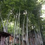 むくの実亭 - 竹藪にひっそりと佇む洋館