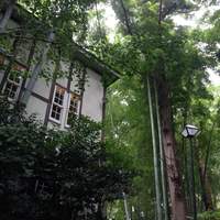 むくの実亭 - その館は藪の中にあった