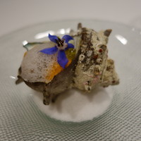 MAISON LAFITE - さざえ