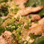 [Salt-grilled pork with green onions]