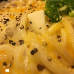 うどん 丸香 - 釜たまカルピスバター（アップ）