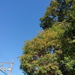 家系ラーメン クックら - 