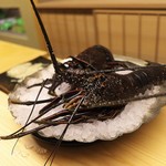 道人 - 生きた２尾の伊勢海老が大きくドーンと登場。