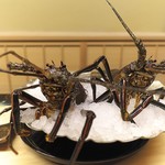 道人 - この伊勢海老が動き出すわ、暴れるわ。