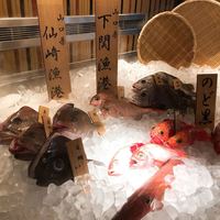 八吉 新橋店 - 