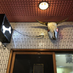 一条流がんこ総本家分家四谷荒木町 - 外観