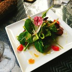 グリーンフィンガー - お花も食べられるサラダ