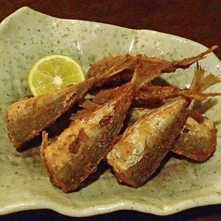 ホテルランドマーク和歌山周辺でおすすめの美味しい居酒屋をご紹介 食べログ ホテルランドマーク和歌山周辺でおすすめの美味しい居酒屋をご紹介 食べログ