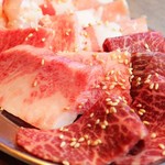 Chitose Funabashi Niku Ryuutsuu Senta - 絶品のお肉