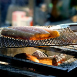 長谷川 稔 - やく