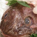 はこだて ふさや - とぼけた顔した どんこ♪