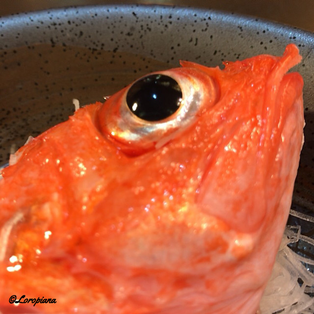 だるま 本八戸 居酒屋 食べログ