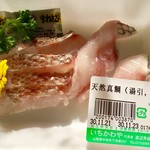 市川屋 - 山口の真鯛 皮霜造り