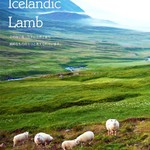 ラム肉バル 結 - 