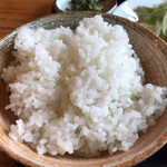 Mamano Gohan - ご飯