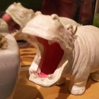 レストラン カバ ダイニング_0