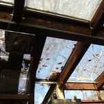 La Terrasse - 天井はガラス張り
