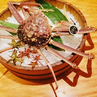 November 7th Winter Taste Matsuba Crab Released