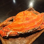 禅紫 - ワタリガニ