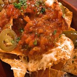 VECTOR BEER - 2018.10