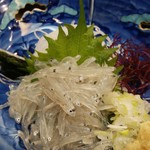 入船鮨 - 大きい身でした