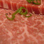 多来多来 - ヒレ肉　アップ