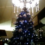 クリスタル ヨット クラブ　レストラン - ｸﾘｽﾏｽﾂﾘｰ