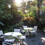 Chez Matsuo - 庭園
