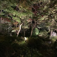 かなざわ玉泉邸 - 