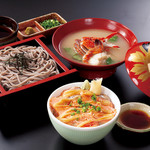 Grilled salmon rice bowl set