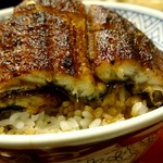 炭焼うな富士 - うなぎ丼4